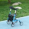 Rollator Walker with Seat and Backrest, Height Adjustable Aluminum Rolling Walker with 10'' Front Wheels, Storage Bag, Lightweight Mobility Walking Ai