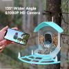 Smart Bird Feeder With Camera, AI Identify Bird Species & Solar Panel, Bird Watching Camera, Auto Capture Bird Video, Instant Bird Arrival Alert, Live