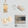 2 Pack Lighted Mason Jar Wall Sconce Fairy Lights Timer 3M 30 LED Country Decor